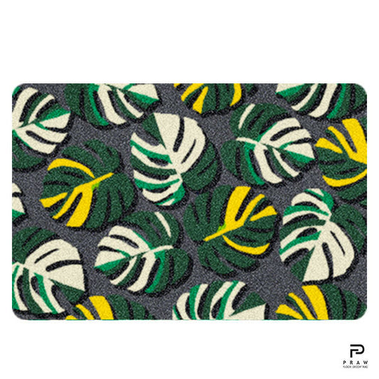 MONSTERA - PR151