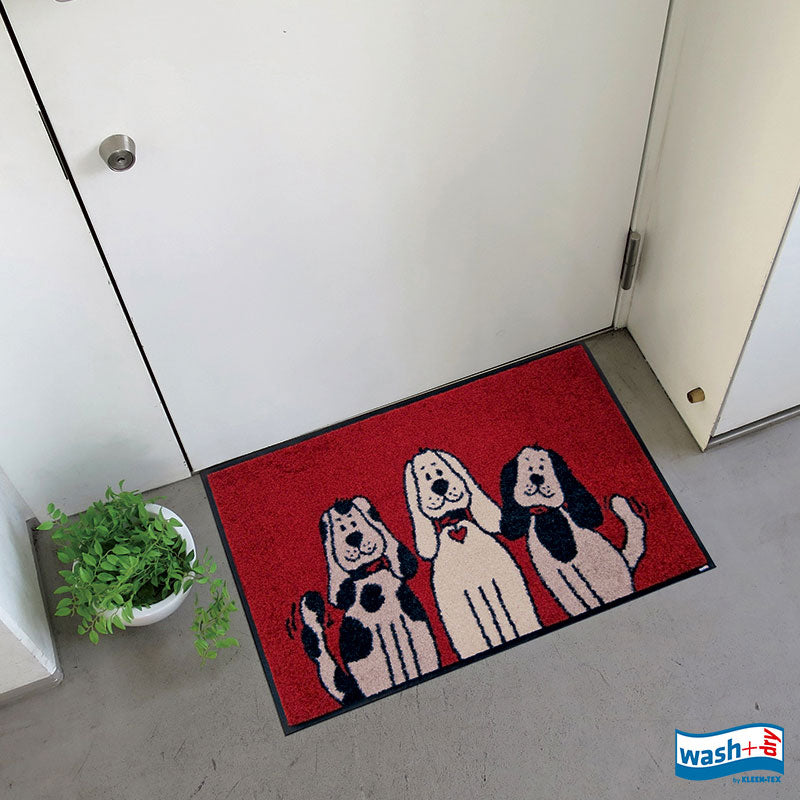 Three Dogs 