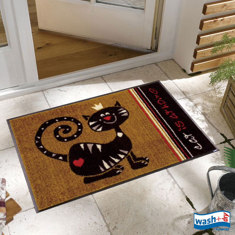 Cat is at home 