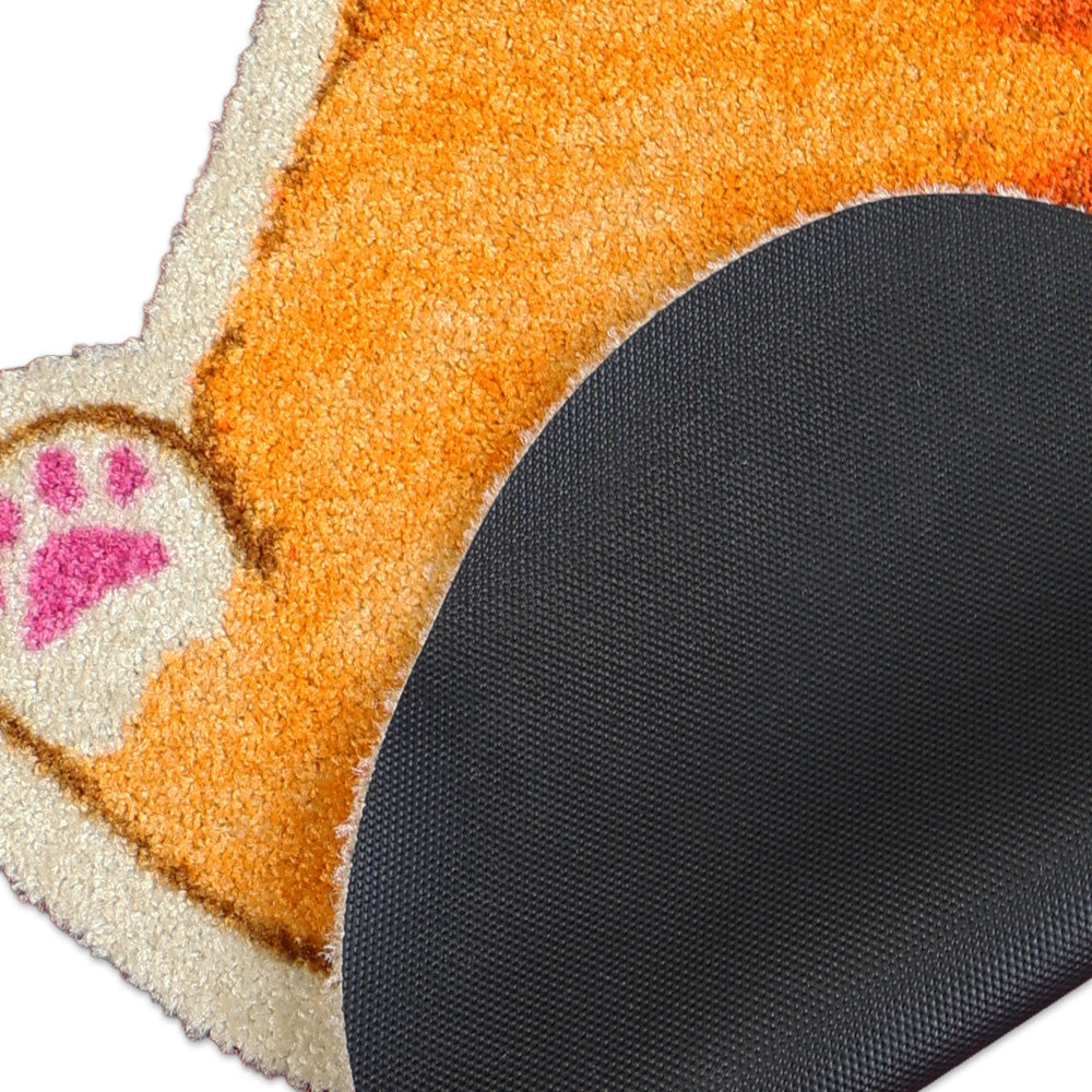 Praw พรมไนลอนทรงน้องแมวส้ม – ดีไซน์ Tabby Orange Cat